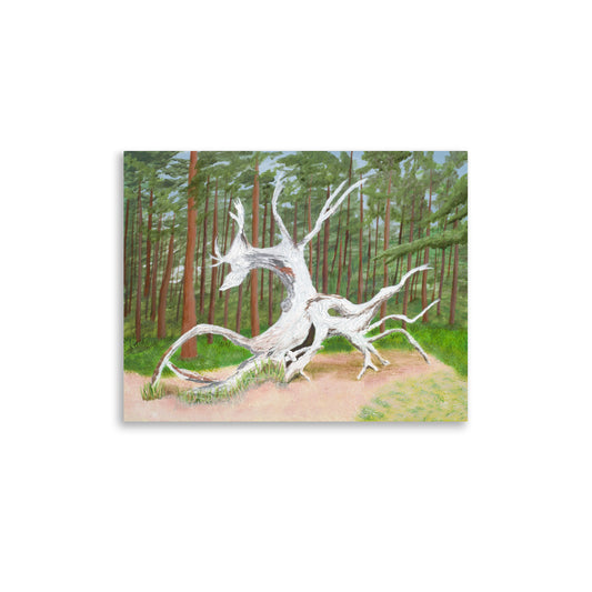 Woodland Soul Canvas Print