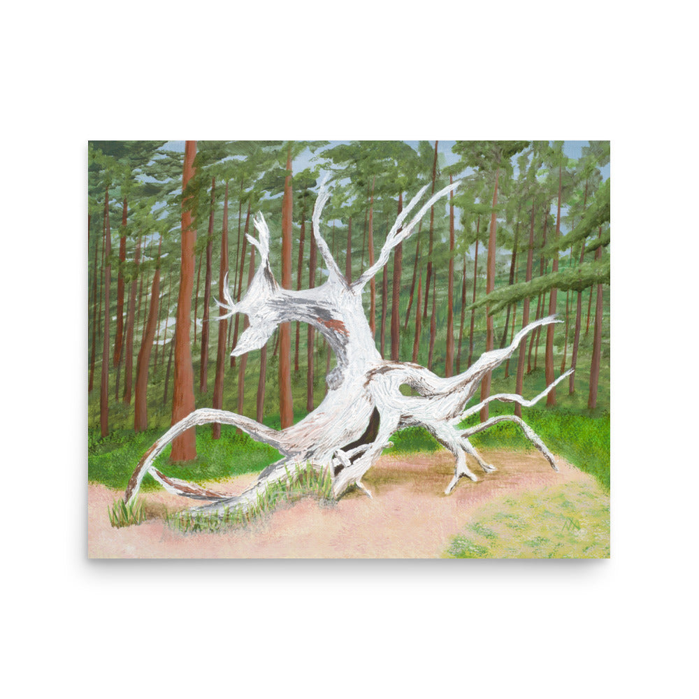 Woodland Soul Poster
