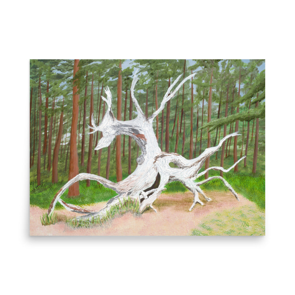 Woodland Soul Poster