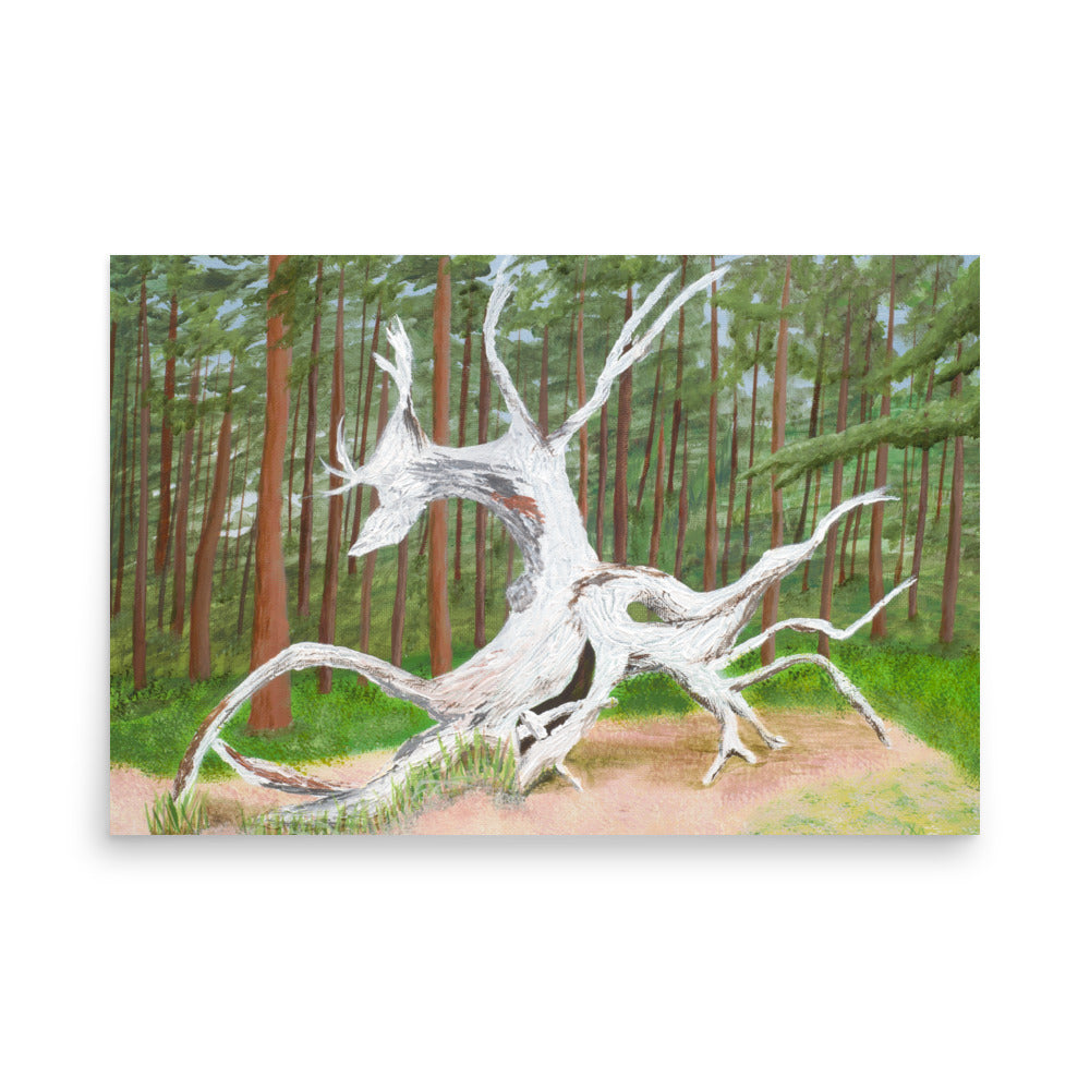 Woodland Soul Poster