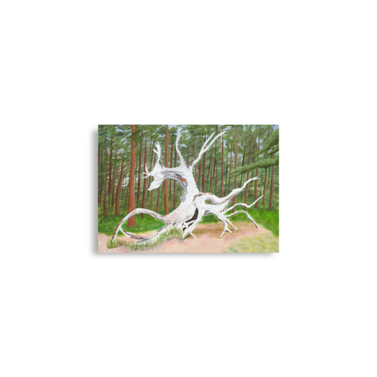 Woodland Soul Poster