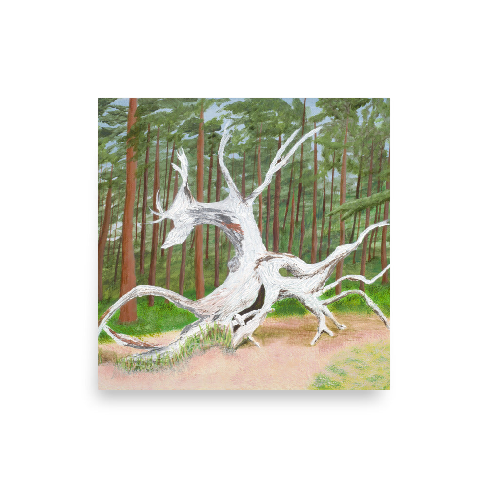 Woodland Soul Poster